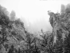 This picture was taken in the fogg of Kunkelspass Graubünden Switzerland This picture was taken in the fogg of Kunkelspass Graubünden Switzerland