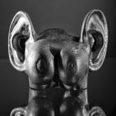 This is a picture from my studio project "ass with ears" in the year 2011